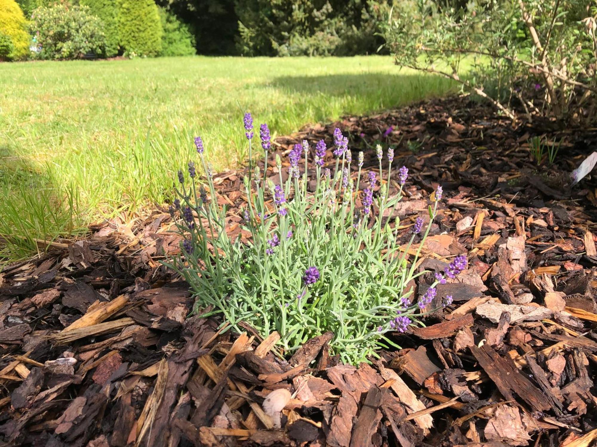 Idas Garten Bad Lauterberg Exterior foto